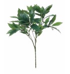 Laurierblad l45cm groen